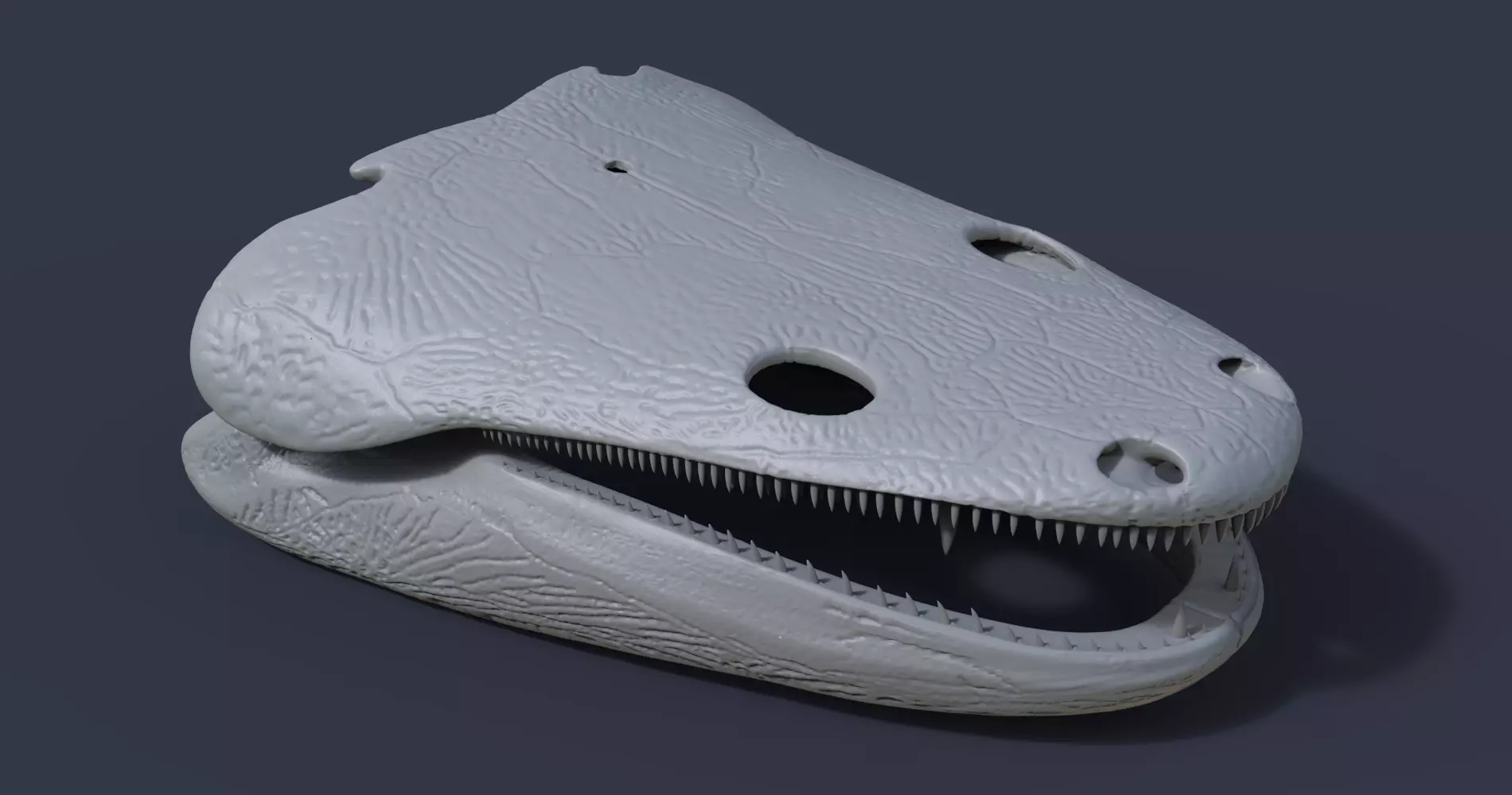 Skull of a Metoposaurus diagnosticus 3D model_0