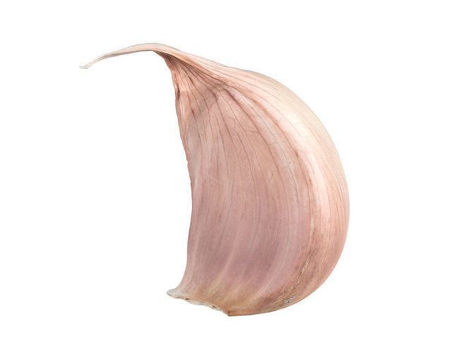 Photorealistic Garlic Clove 3D Scan 3D model