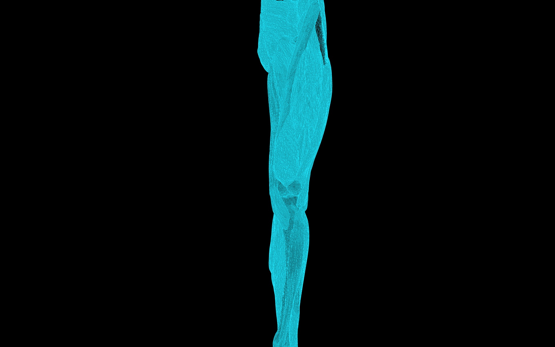 Knee Joint with Muscles - Medically Accurate 3d Model 3D model_75