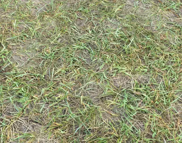 Forest Terrain Pack 23