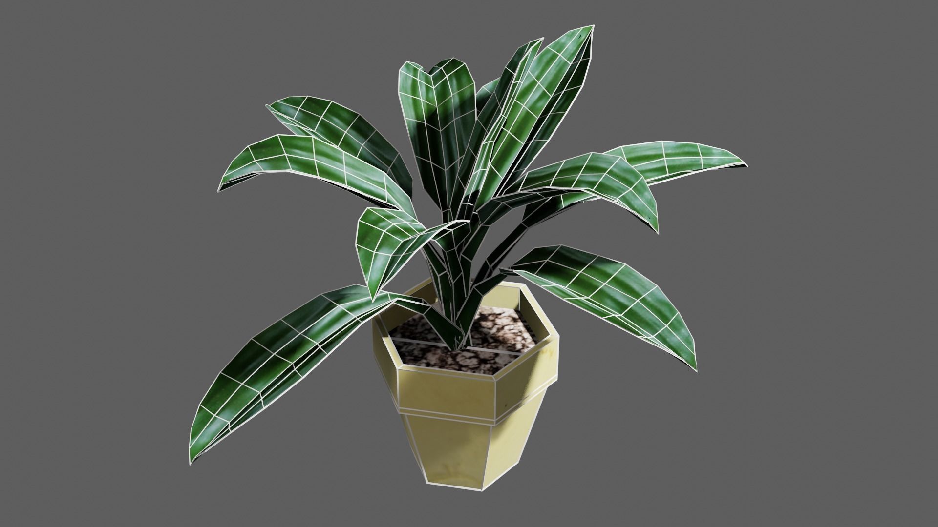 potted Ornamental plant Low-poly 3D model_6