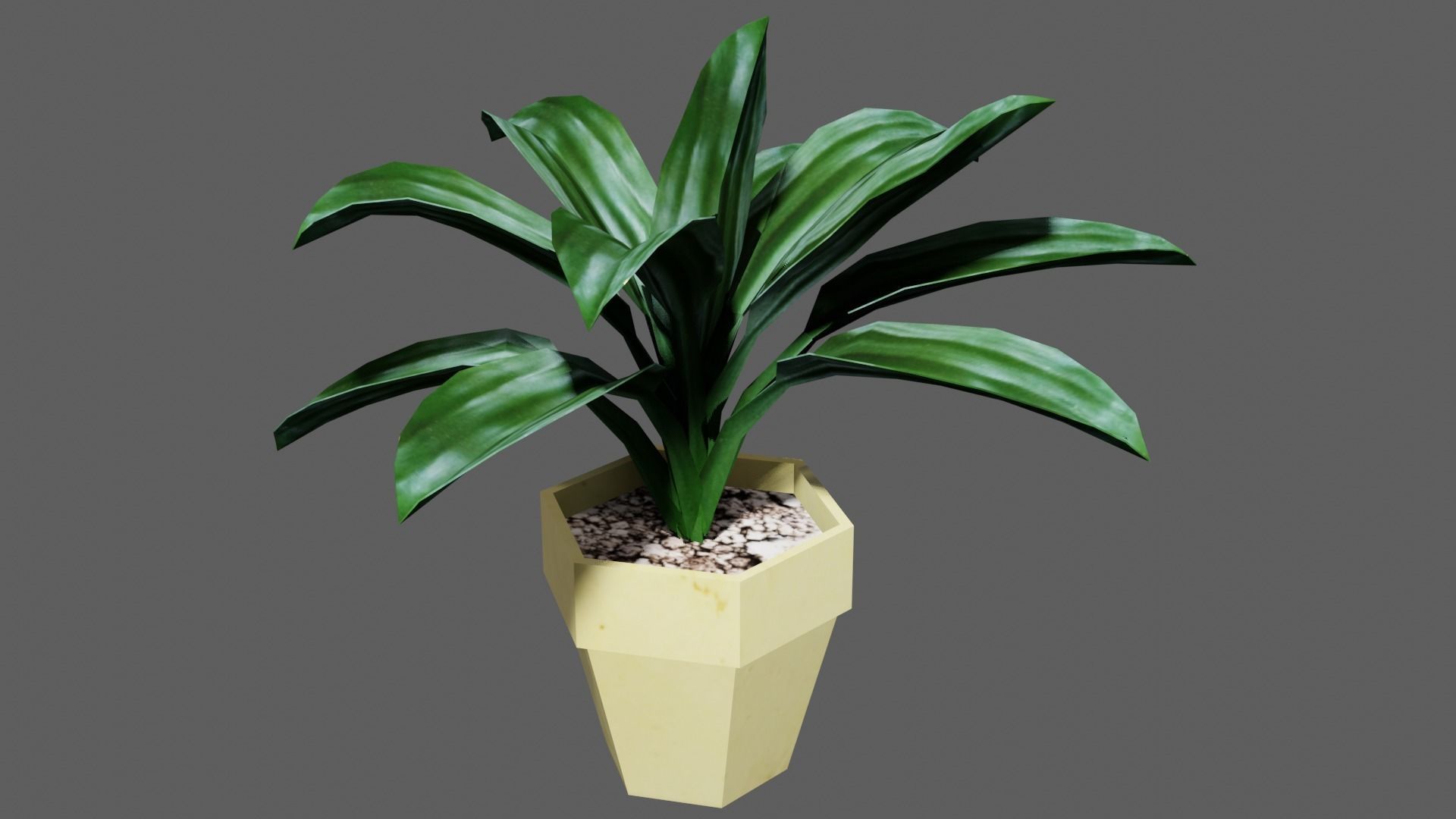 potted Ornamental plant Low-poly 3D model_3