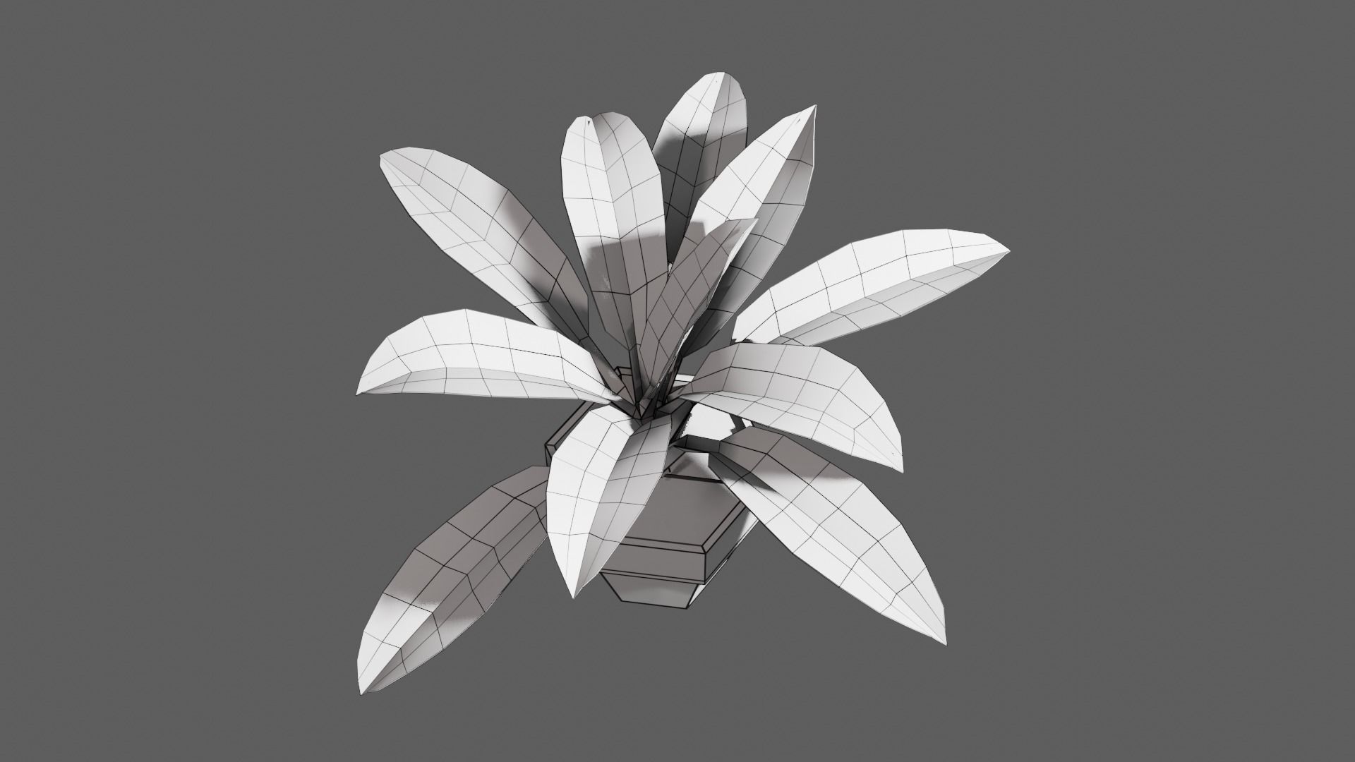 potted Ornamental plant Low-poly 3D model_8