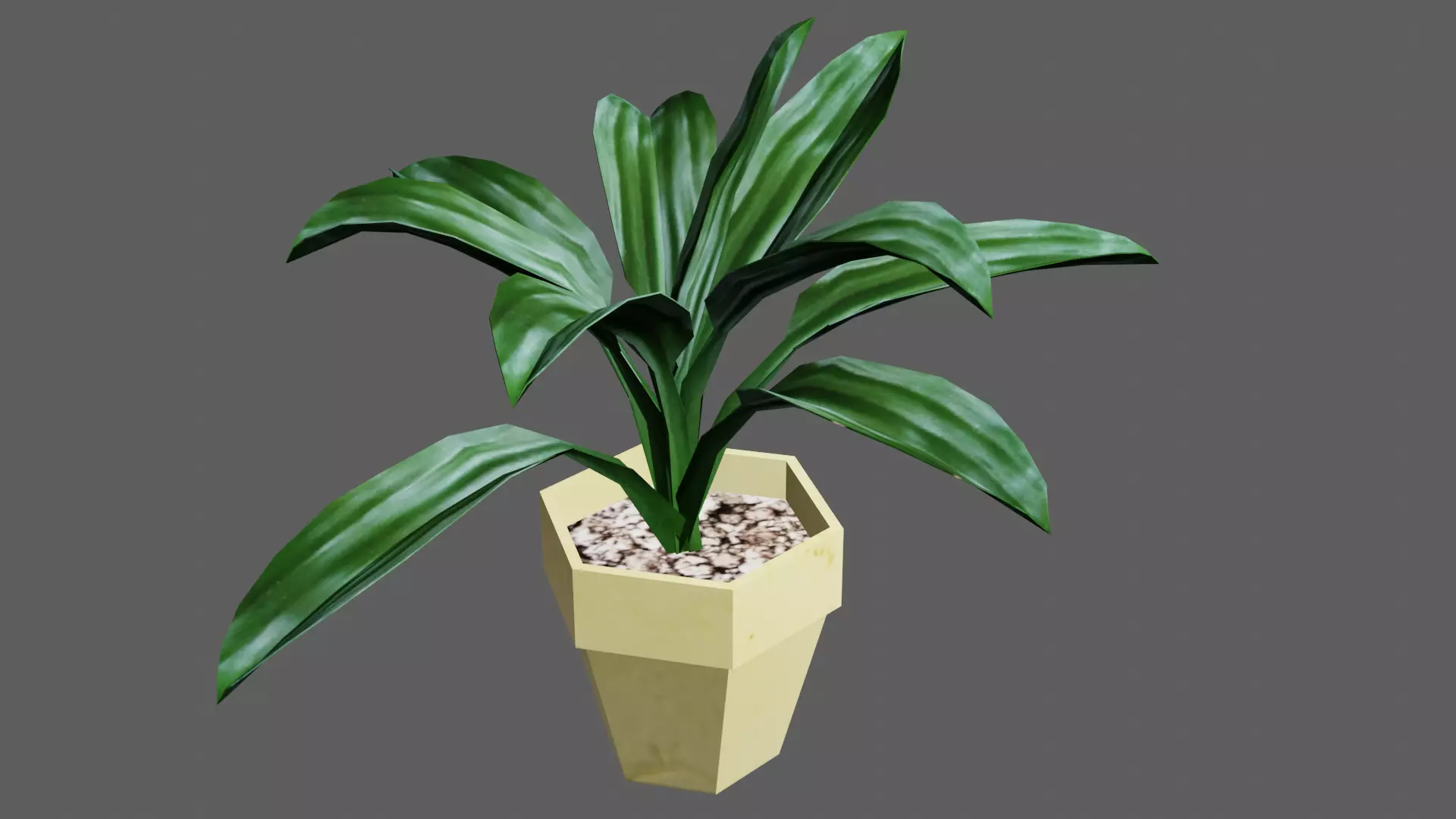 potted Ornamental plant Low-poly 3D model_0