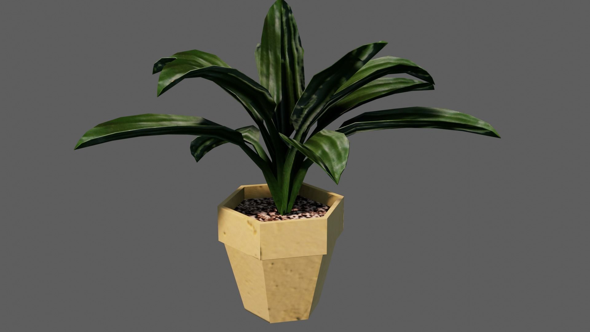 potted Ornamental plant Low-poly 3D model_2