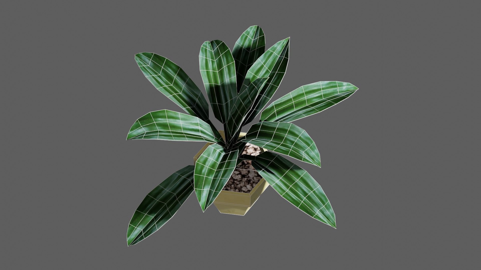 potted Ornamental plant Low-poly 3D model_7