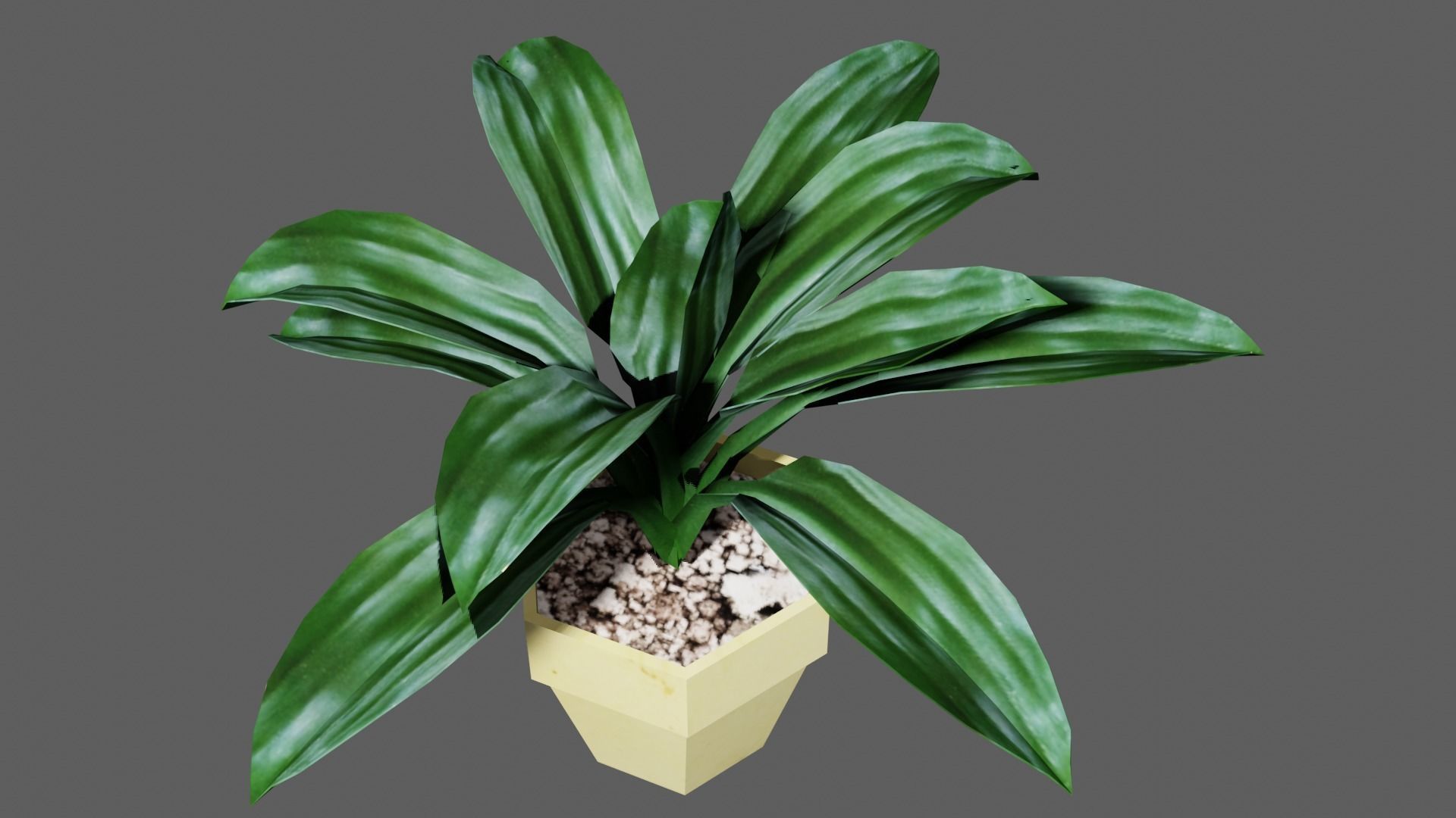 potted Ornamental plant Low-poly 3D model_4