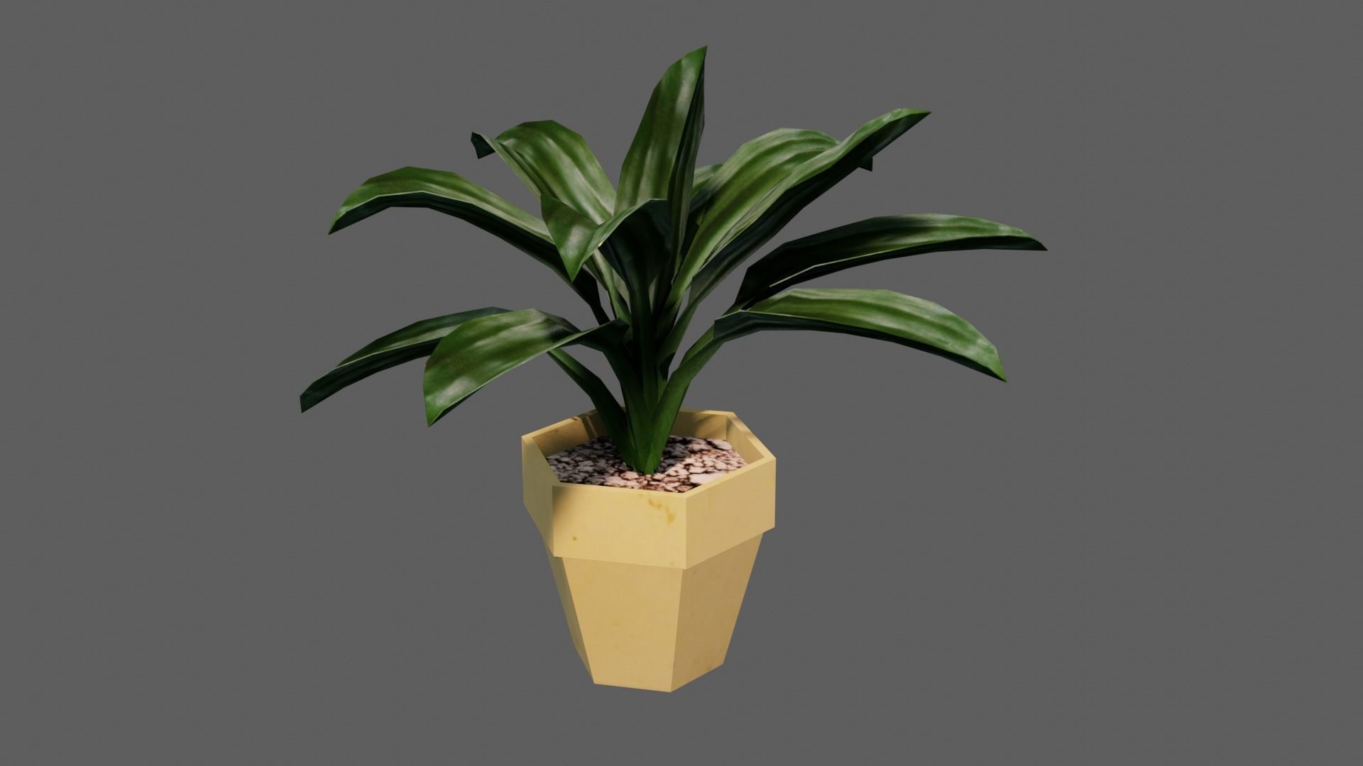 potted Ornamental plant Low-poly 3D model_1