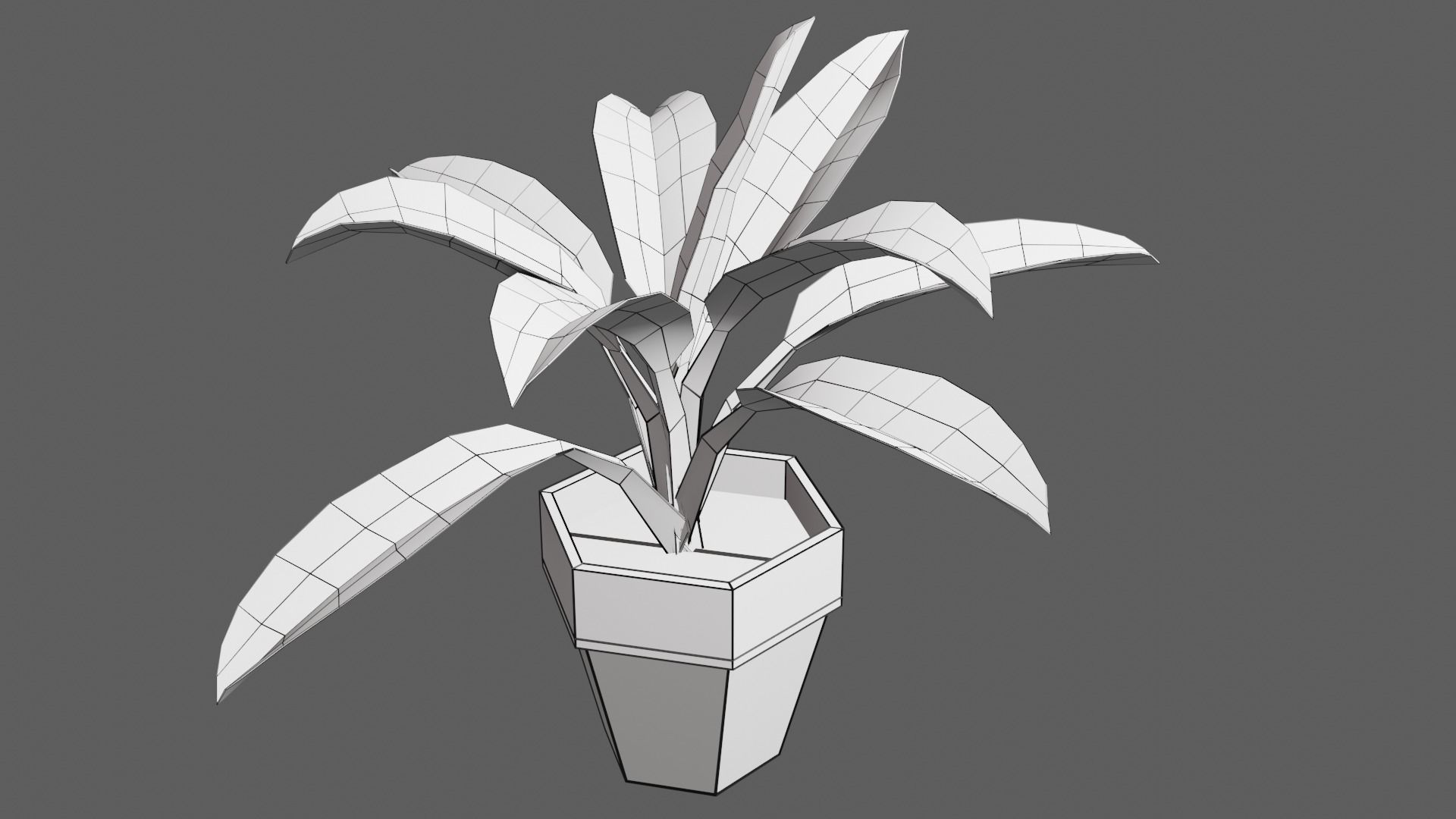 potted Ornamental plant Low-poly 3D model_9