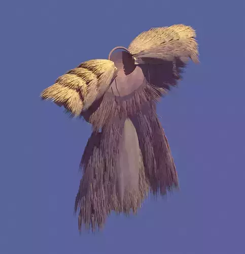 Dynasty Cloak - Dress 03