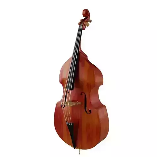 Contrabass double bass