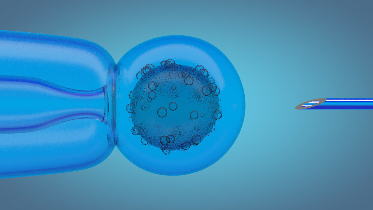 medical animation 3D model_6