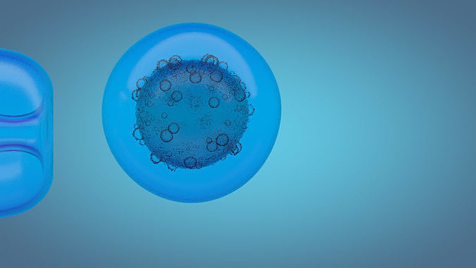 medical animation 3D model