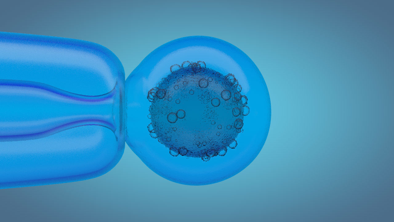 medical animation 3D model_3