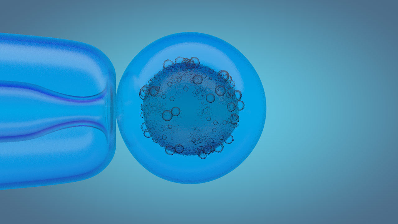 medical animation 3D model_2