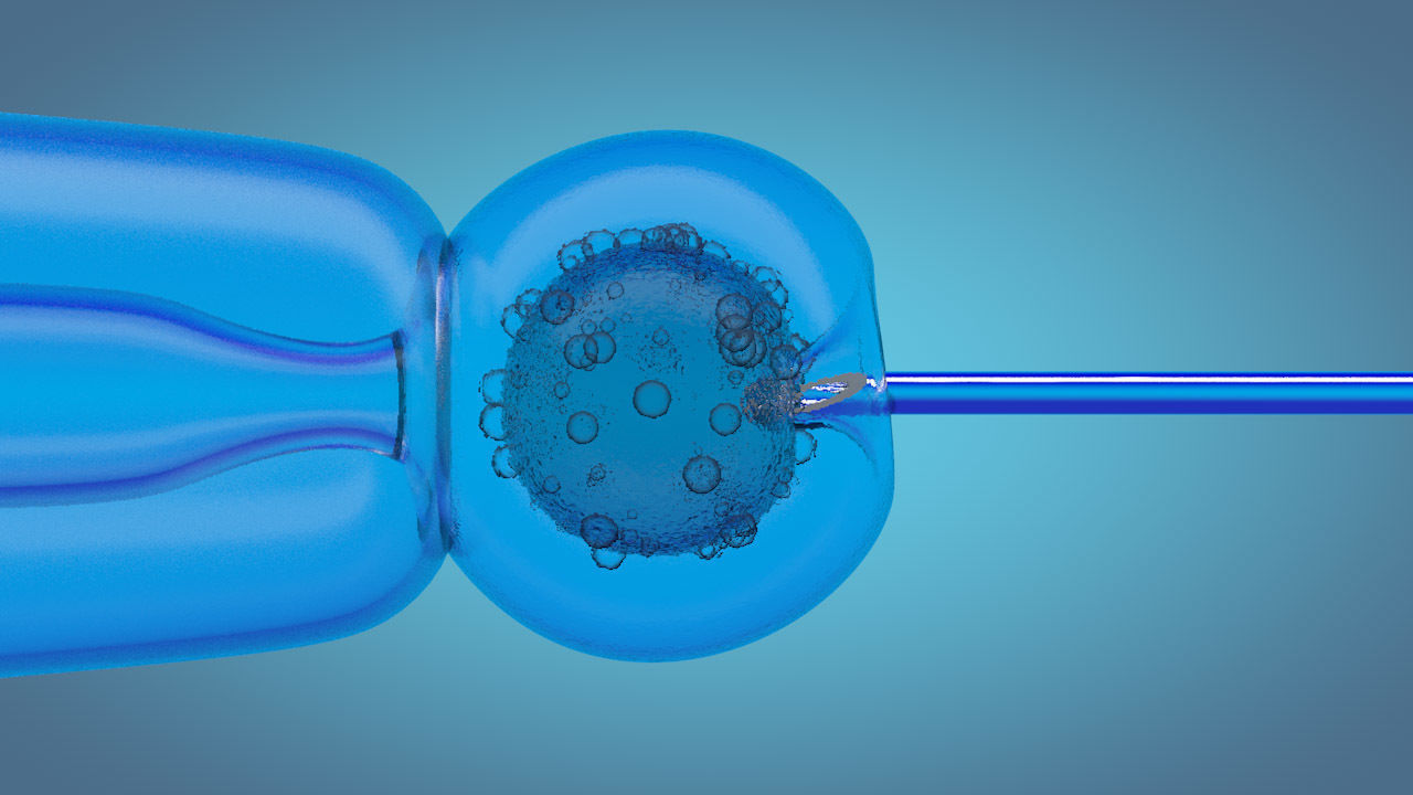 medical animation 3D model_4