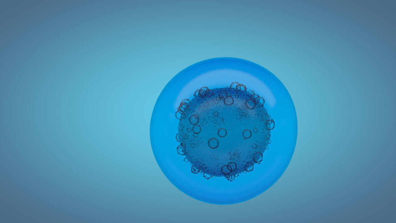 medical animation 3D model_7