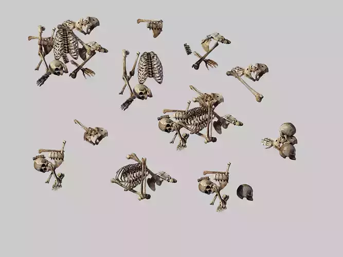 Dynasty Snowfield Conservancy Road - Skull 02