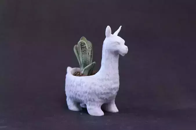 LLAMA Planter