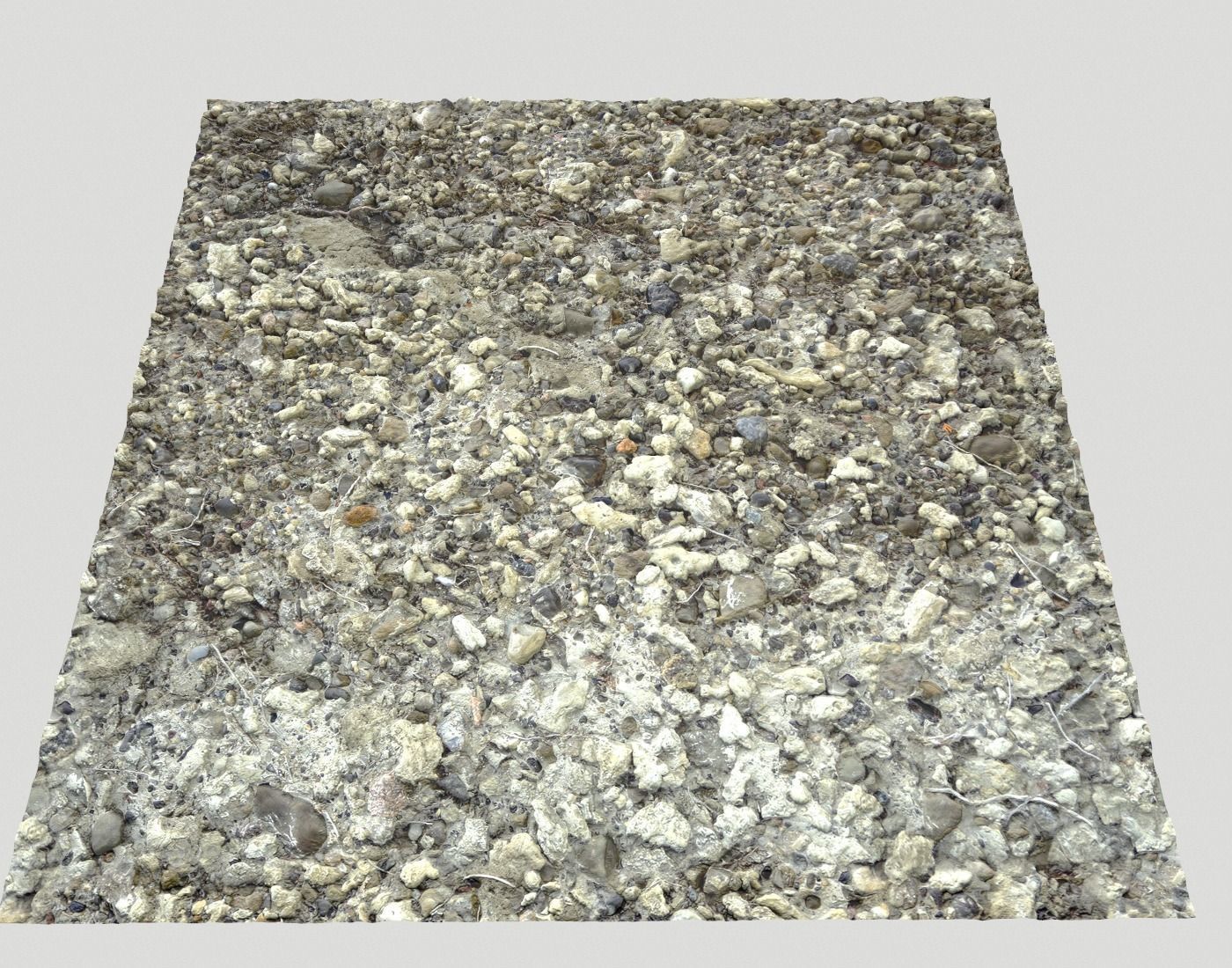 Forest dirt Pack 8 Texture_23