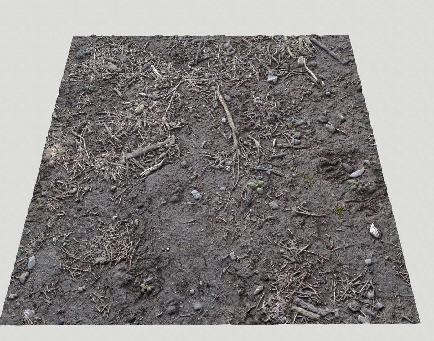 Forest dirt Pack 8 Texture_22