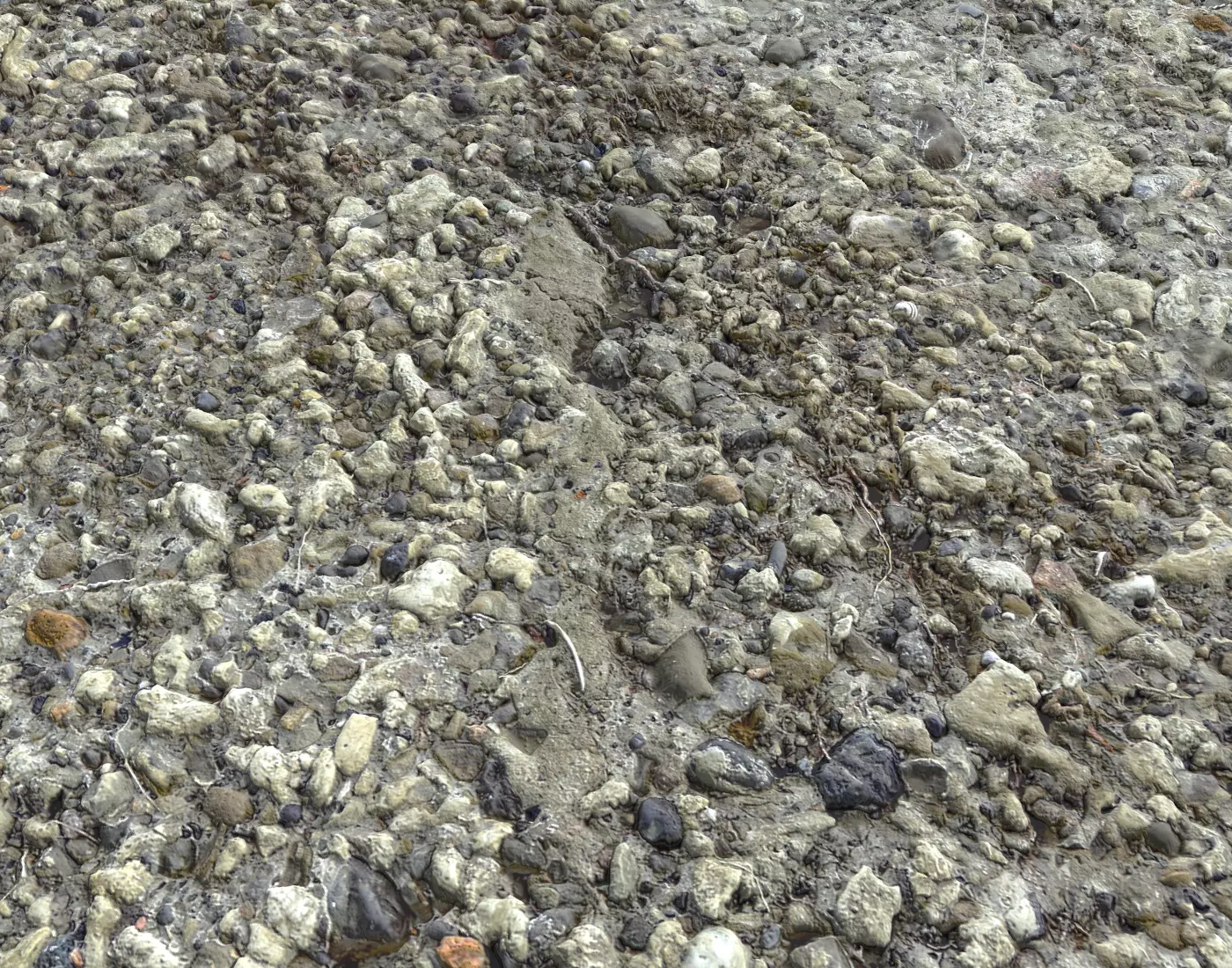 Forest dirt Pack 8 Texture_0