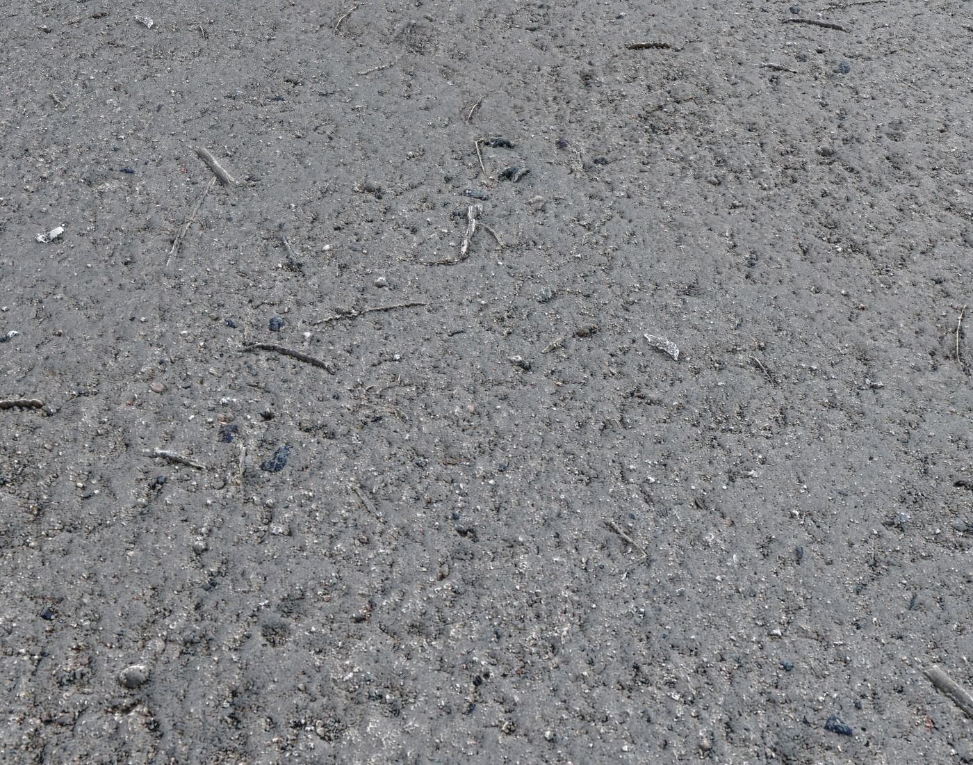 Forest dirt Pack 8 Texture_6