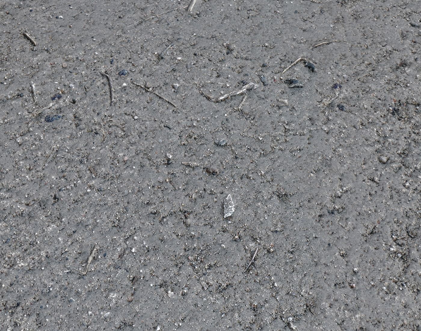 Forest dirt Pack 8 Texture_7