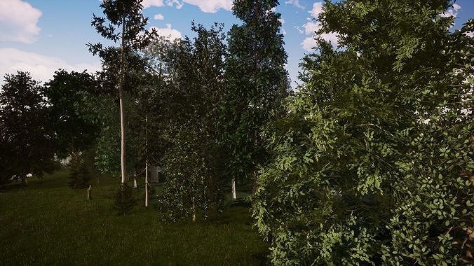 Very realistic 3d Trees collection for Twinmotion 2019 part 1 Low-poly 3D model