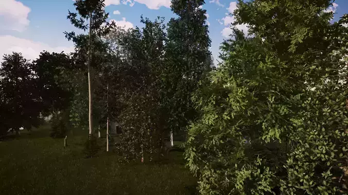 Very realistic 3d Trees collection for Twinmotion 2019 part 1 Low-poly 3D model