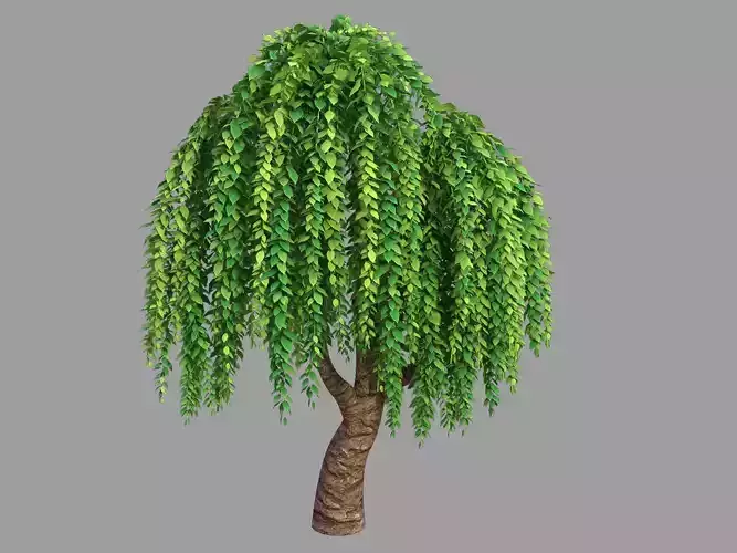 100 acres of forest - willow 38