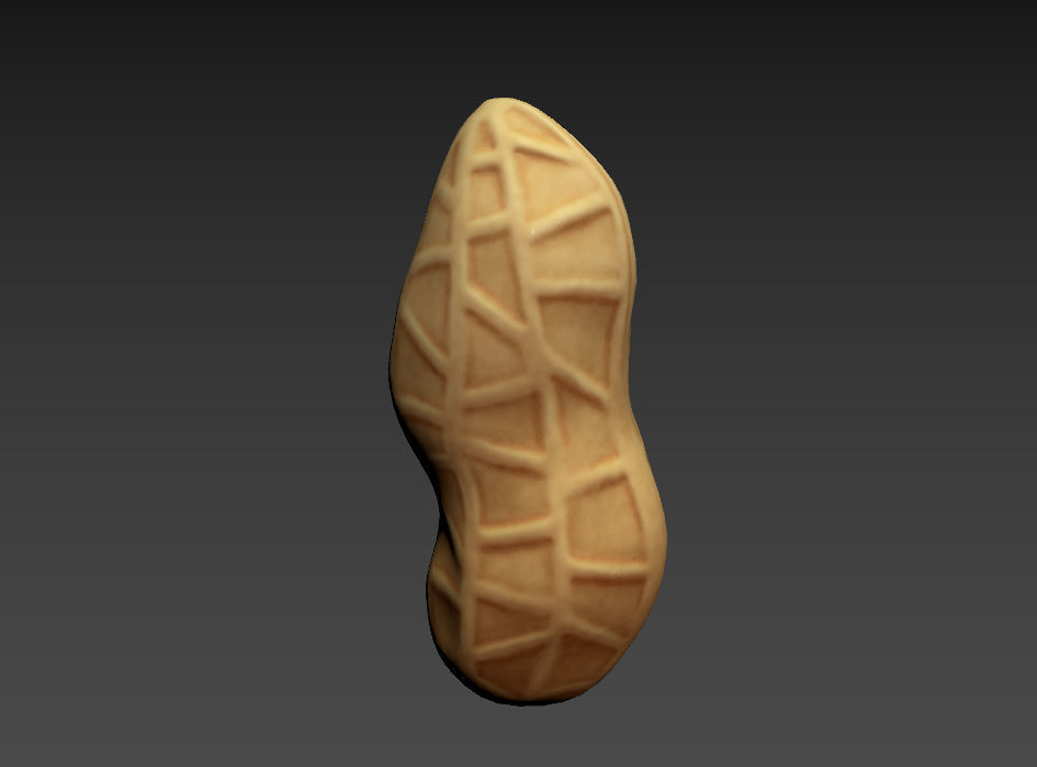 Peanut shell Low-poly 3D model_10