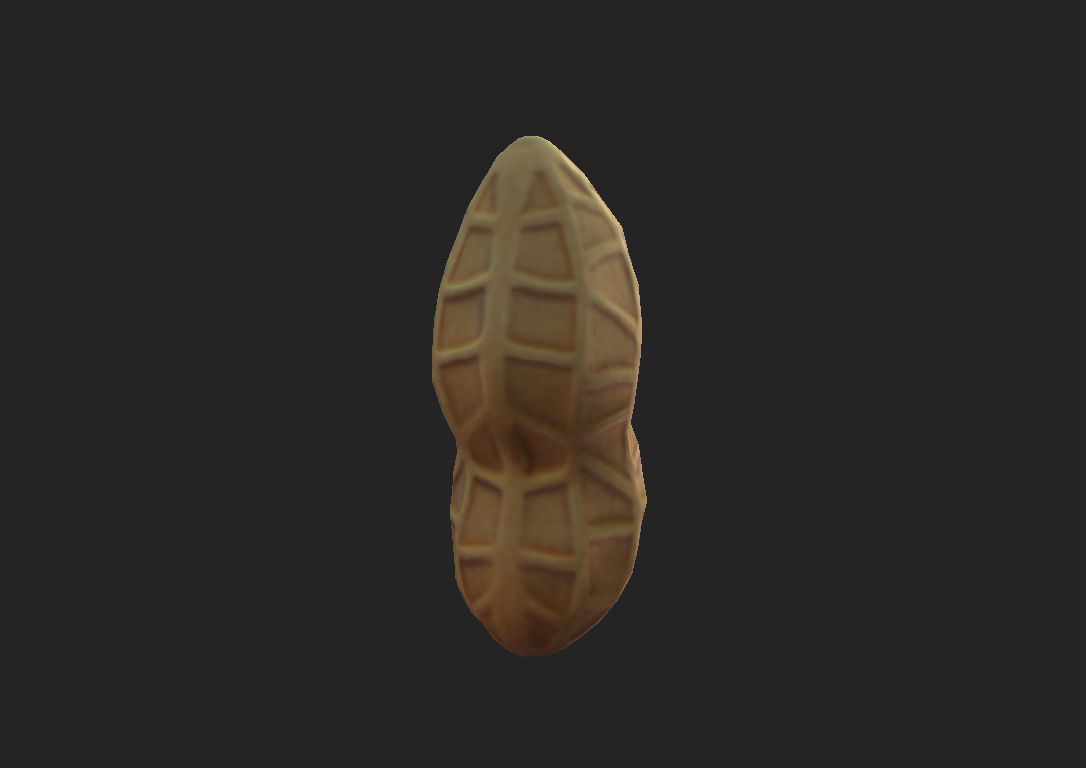 Peanut shell Low-poly 3D model_8