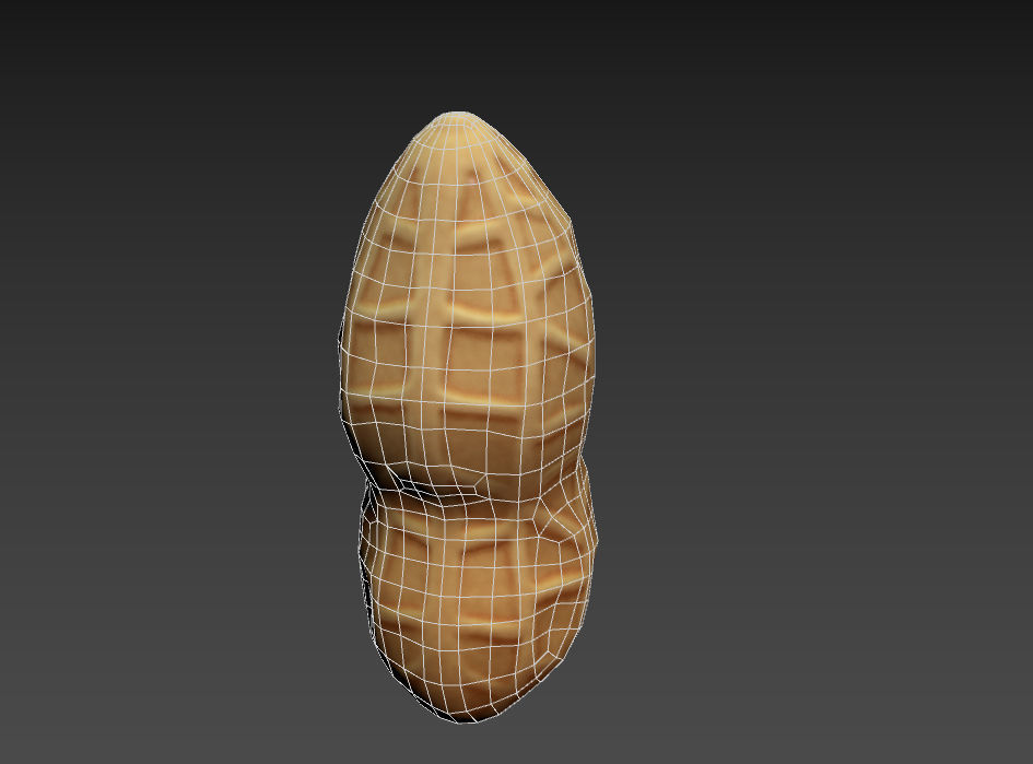 Peanut shell Low-poly 3D model_13