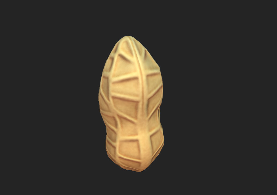 Peanut shell Low-poly 3D model_7
