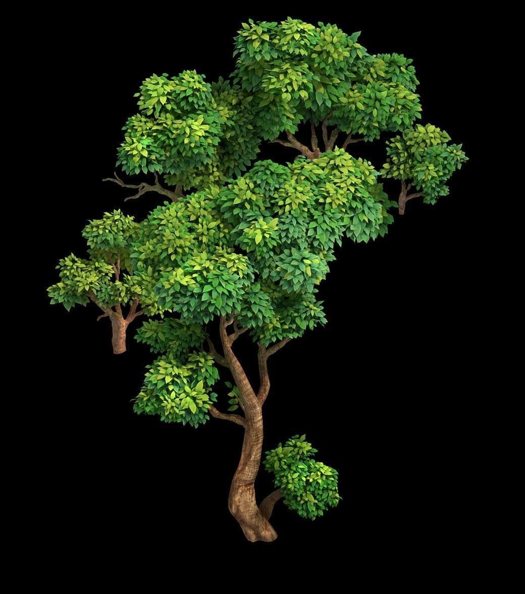 100 acres of forest - small tree 03 3D model_1
