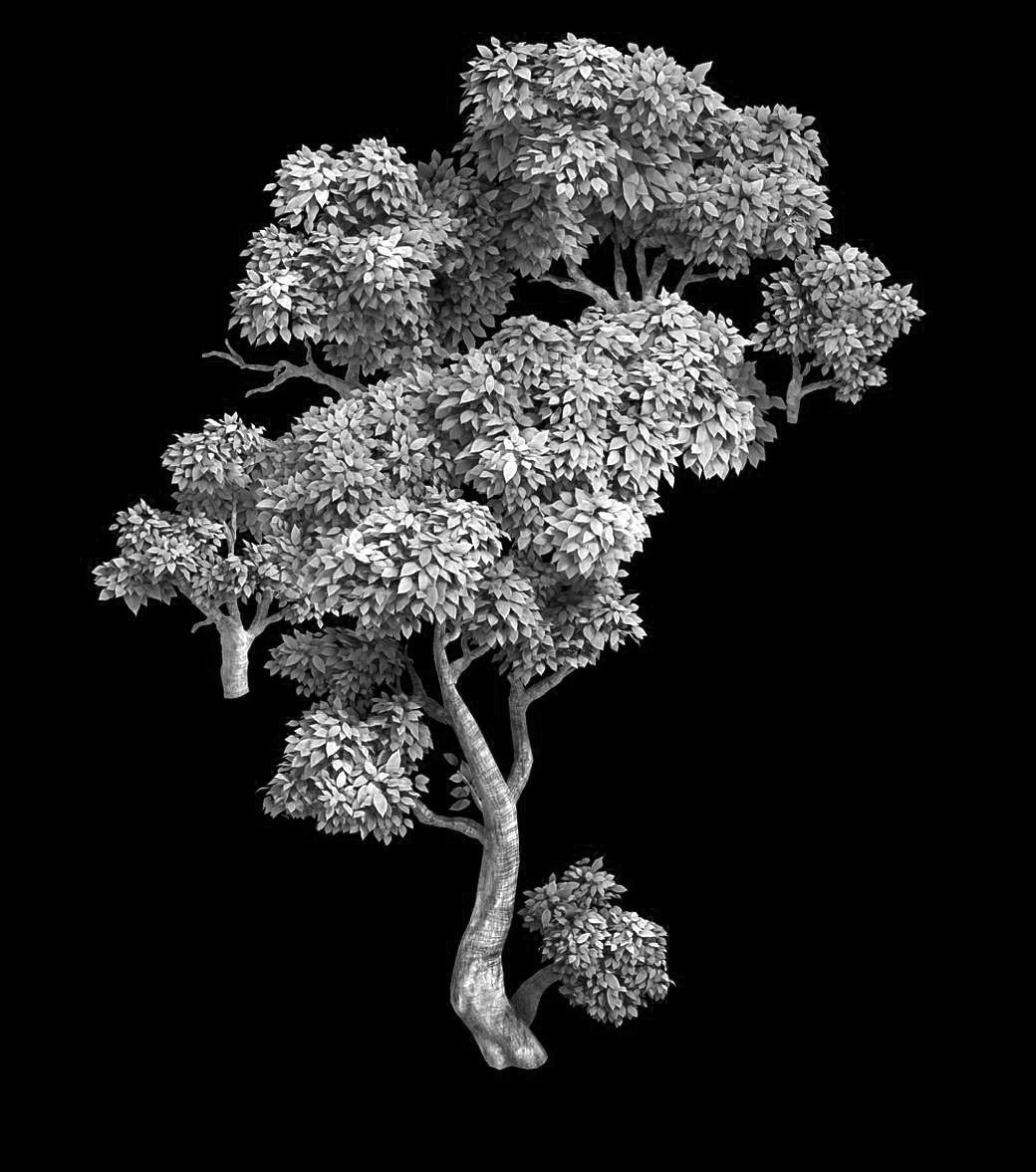 100 acres of forest - small tree 03 3D model_2