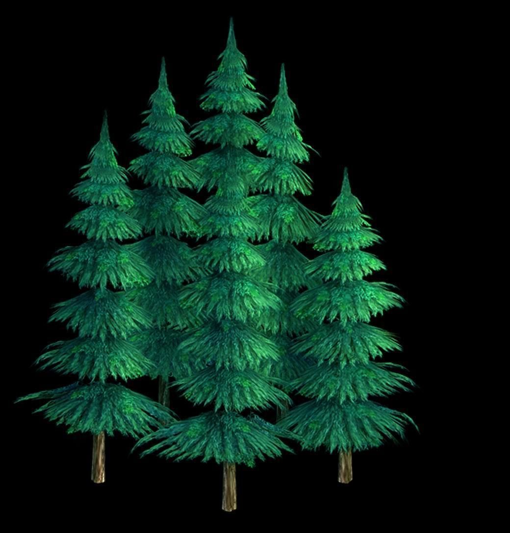 100 acres of forest - small pine 08 3D model_1