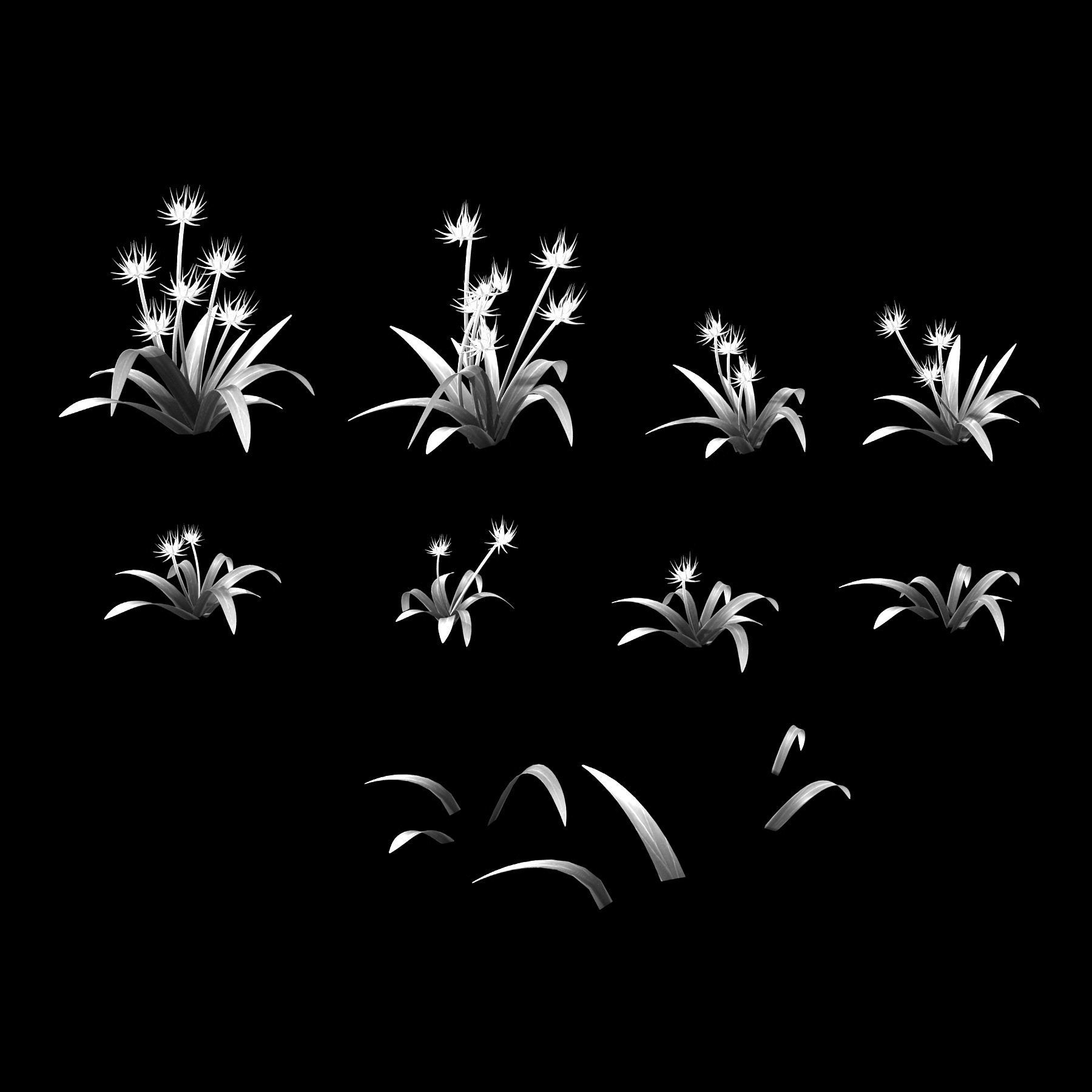 City - Thorn Grass 3D model_2