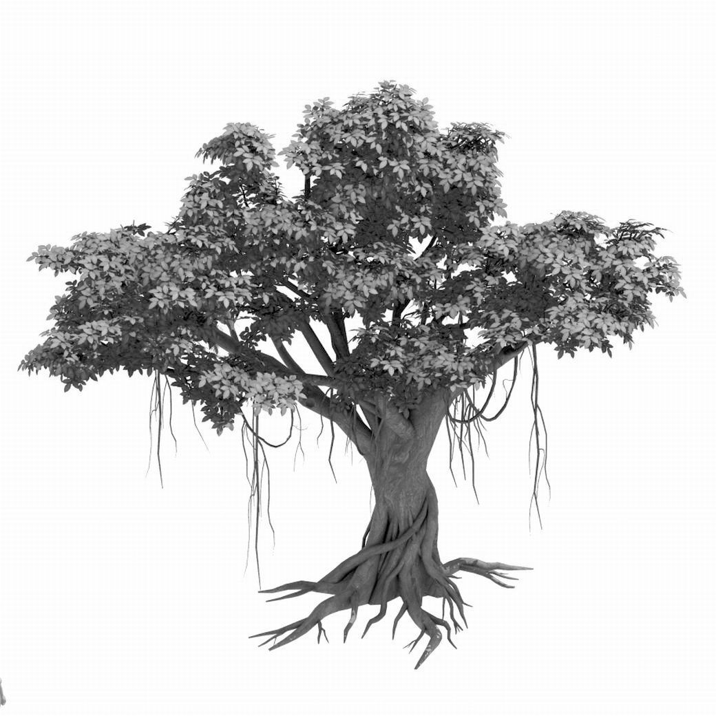 Large Plant - Rongshu 06 3D model_2