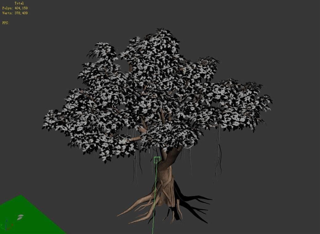 Large Plant - Rongshu 06 3D model_4