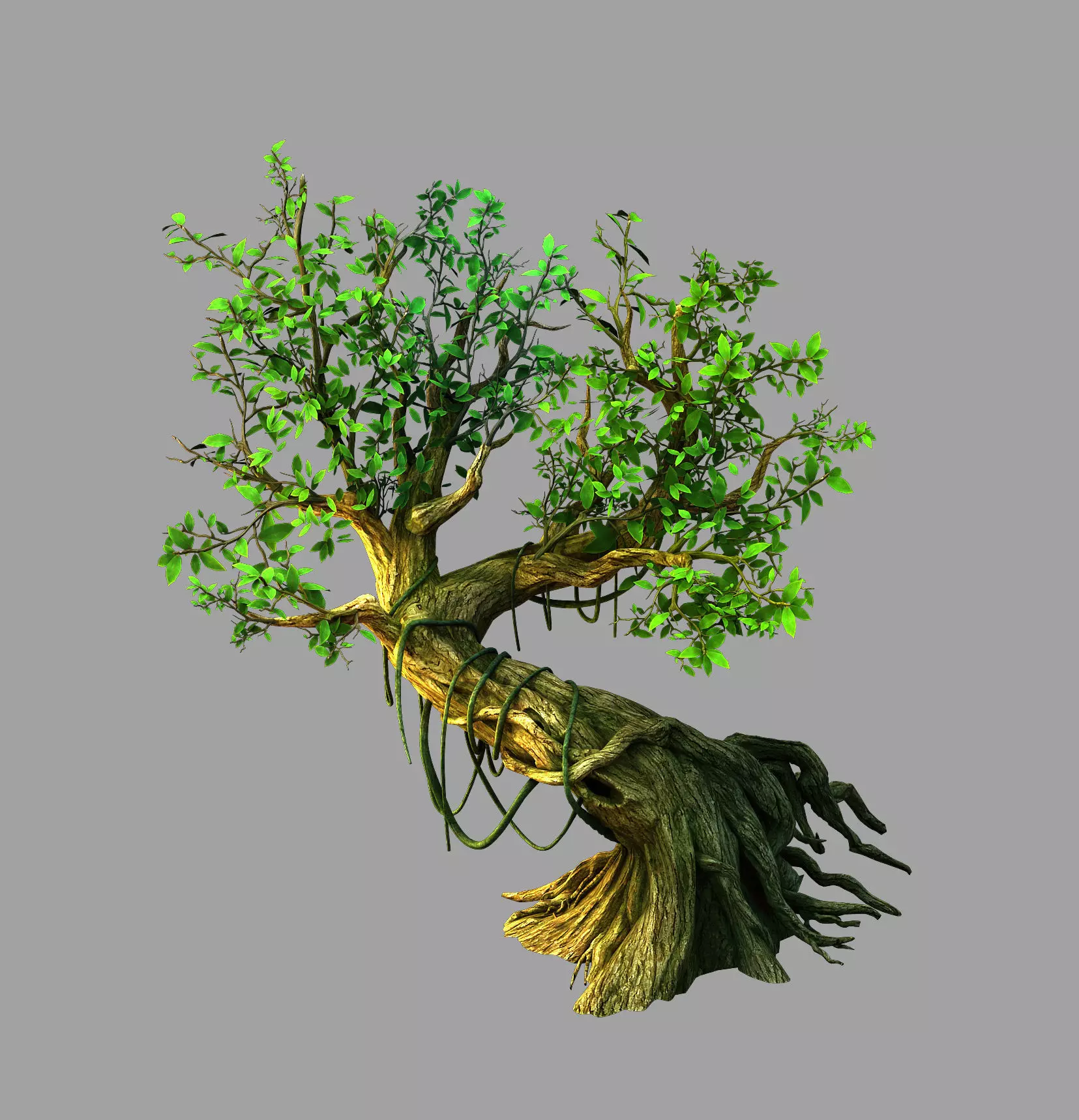 Fernnor Tree Cave - Right Tree 02 3D model_0