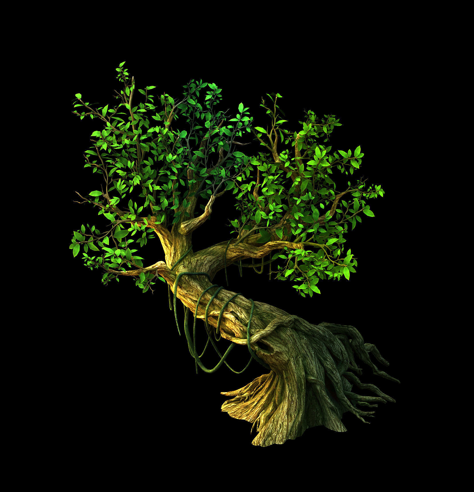 Fernnor Tree Cave - Right Tree 02 3D model_1