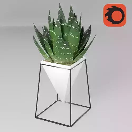 Minimal Plant - Corona Renderer 3D model