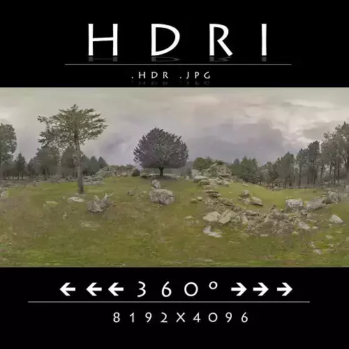 HDR GREEN GRASS IN FOREST