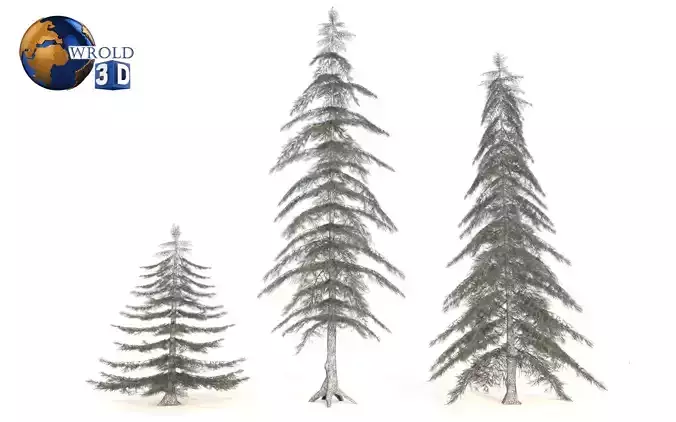 Lowpoly Conifer Trees 3D Model Low-poly 3D model