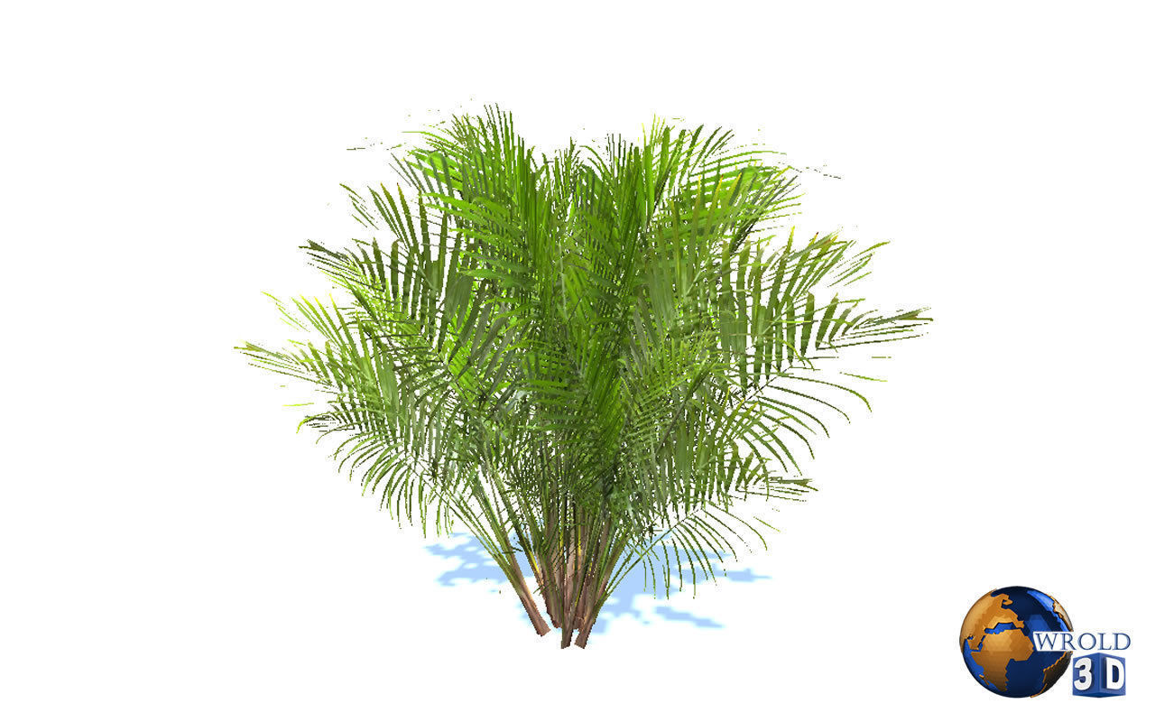 Natural Forest Bush Collection Pack Lowpoly 3D Model Low-poly 3D model_11