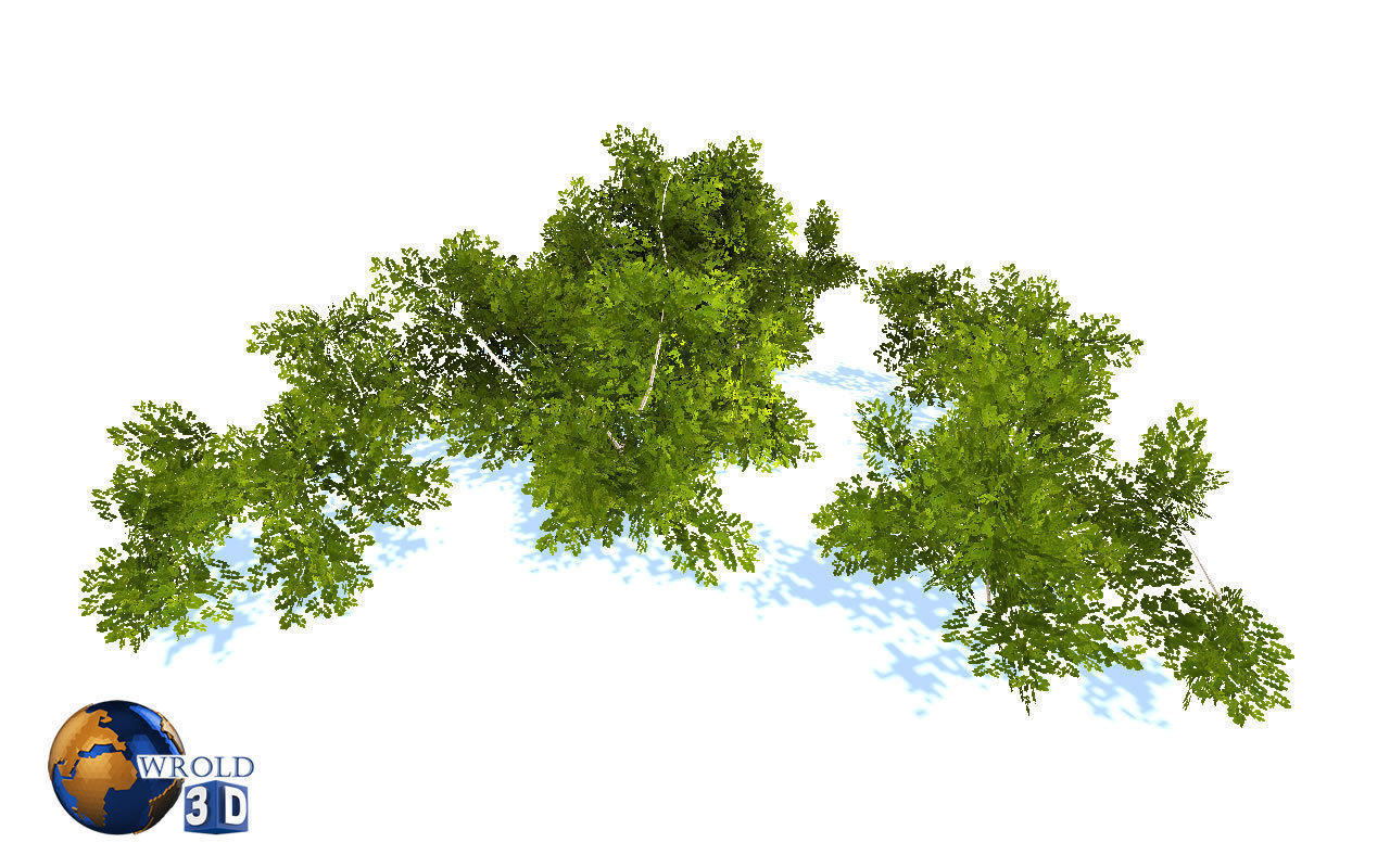 Natural Forest Bush Collection Pack Lowpoly 3D Model Low-poly 3D model_17