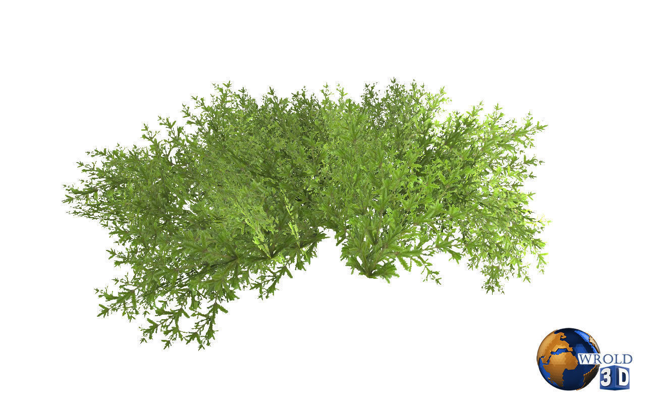 Natural Forest Bush Collection Pack Lowpoly 3D Model Low-poly 3D model_16