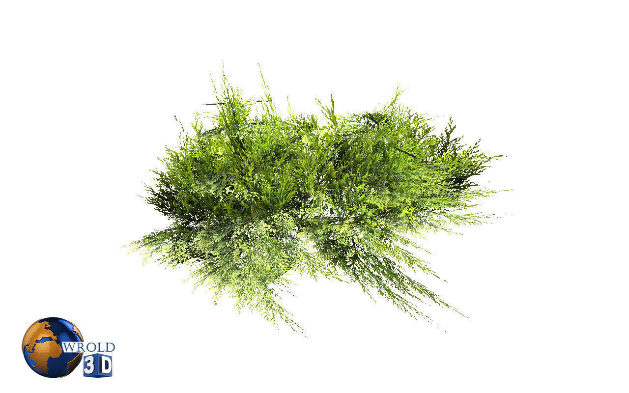 Natural Forest Bush Collection Pack Lowpoly 3D Model Low-poly 3D model_18